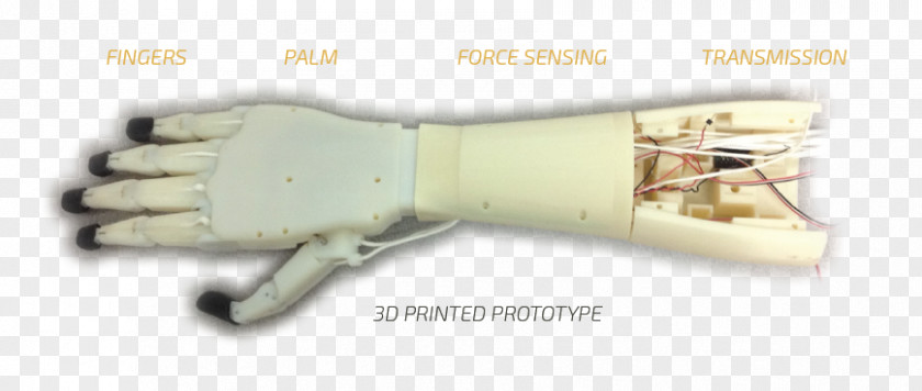 Creation Of Adam Hands Prosthesis Hand Robotic Arm Robotics PNG