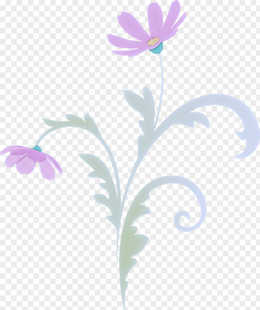 Flower Frame Floral PNG