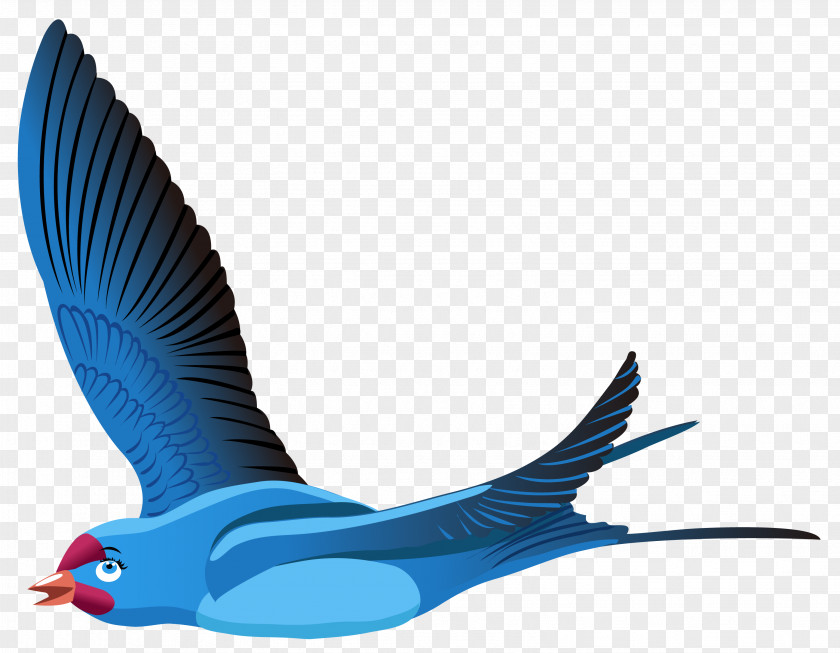 Flying Bird Flight Red-billed Leiothrix Blue PNG