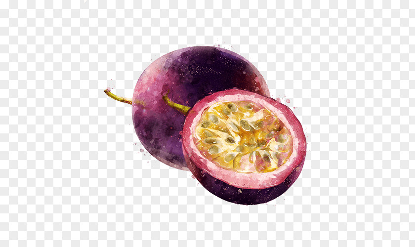 Giant Granadilla Superfood Watercolor Plant PNG