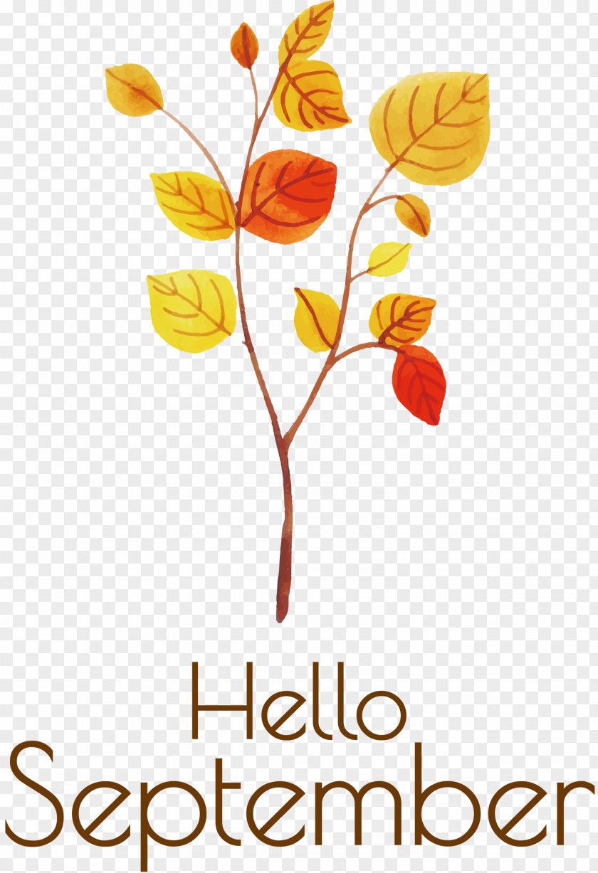 Hello September September PNG