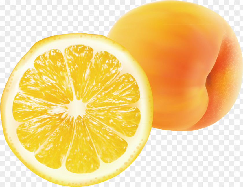 Lemon Material Picture Juice Mandarin Orange Citrus Xd7 Sinensis PNG