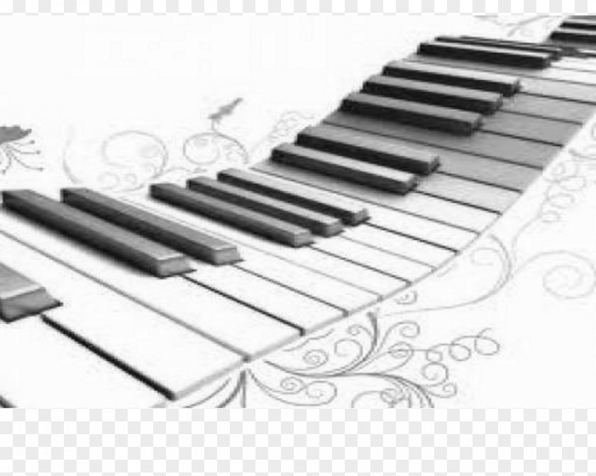 Piano Musical Instruments Keyboard Musician PNG