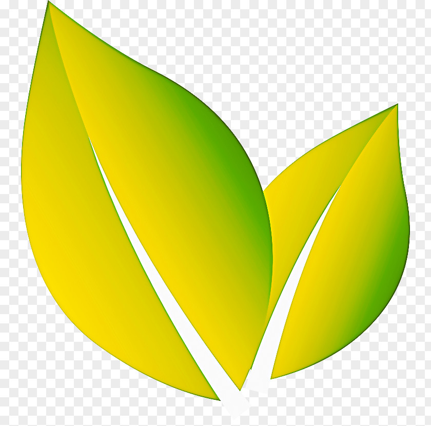 Plant Logo Leaf Yellow Green Clip Art PNG