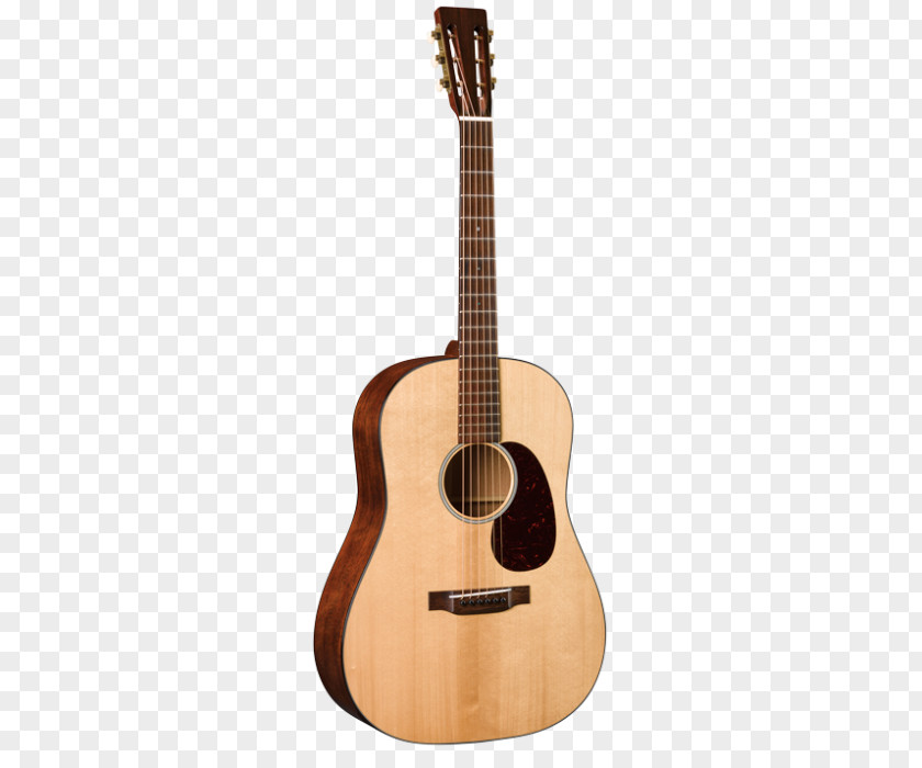 Acoustic Gig Dreadnought C. F. Martin & Company Steel-string Guitar PNG