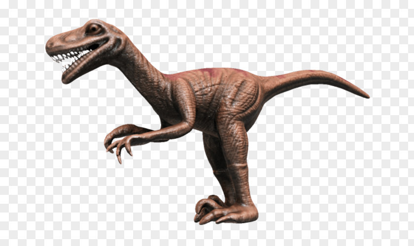Dinosaur Velociraptor Compsognathus CGTrader Wavefront .obj File Reptile PNG