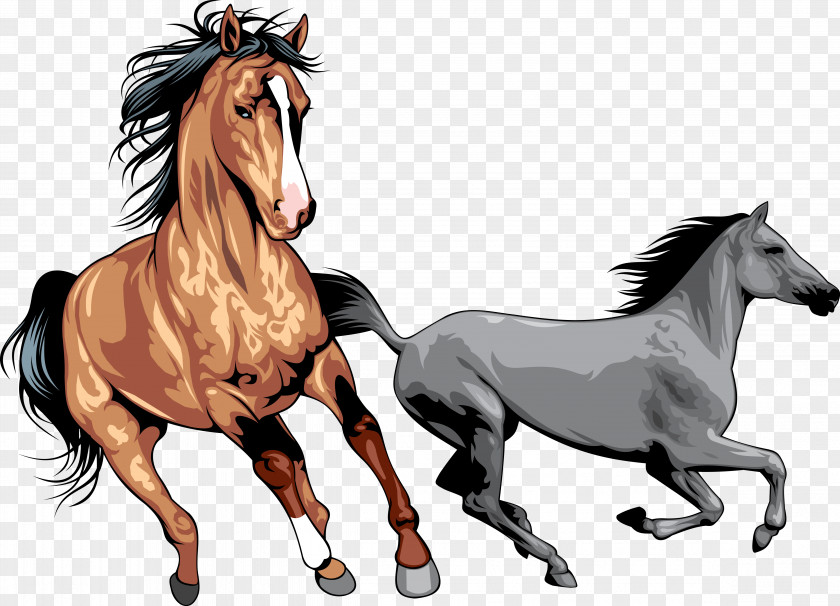 Horse Equestrian Clip Art PNG