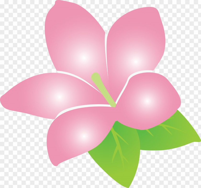 Jasmine Flower PNG