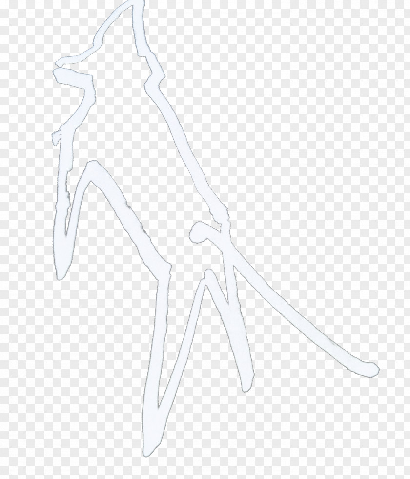 R 10 Finger Mammal Sketch PNG