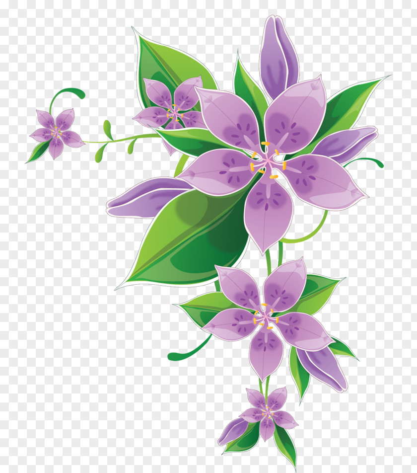 Adorable Flower Borders And Frames Clip Art Vector Graphics Image PNG