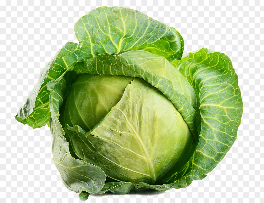 Cabbage Leaf Vegetable Organic Food PNG