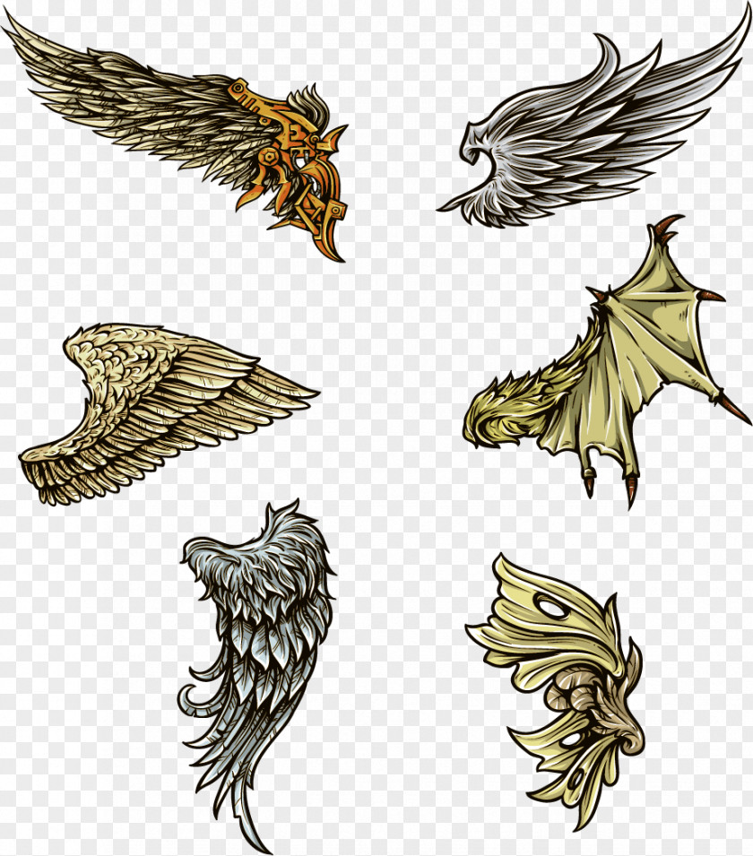 Color Collection Wings Vector Image Wing Clip Art PNG