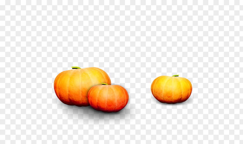 Pumpkin Calabaza Gourd Winter Squash PNG