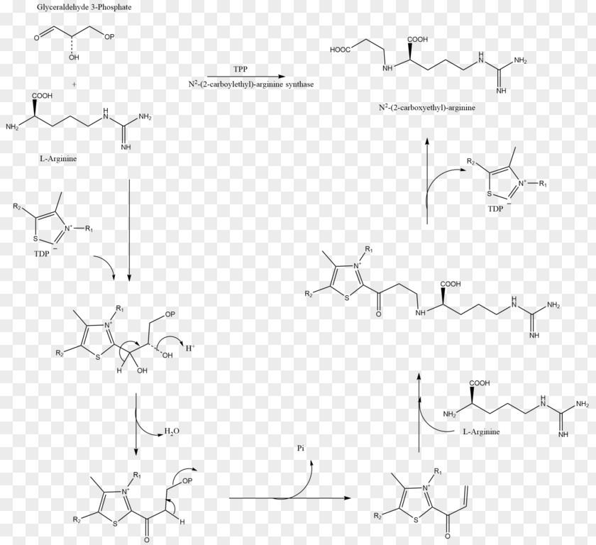 Tetrahydrocannabinolic Acid Synthase Amoxicillin/clavulanic Beta-lactamase PNG