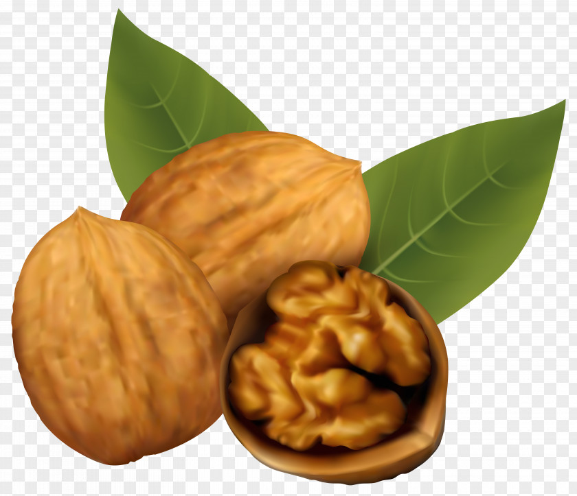 Walnuts Clipart Image Walnut And Coffee Cake Nucule Clip Art PNG