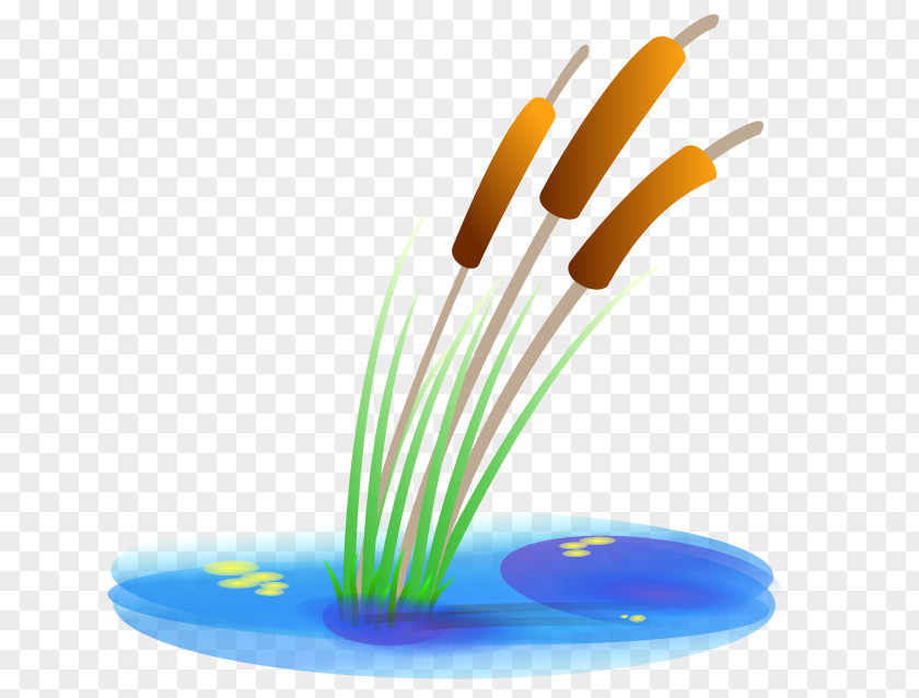 Wet Grass Clip Art PNG