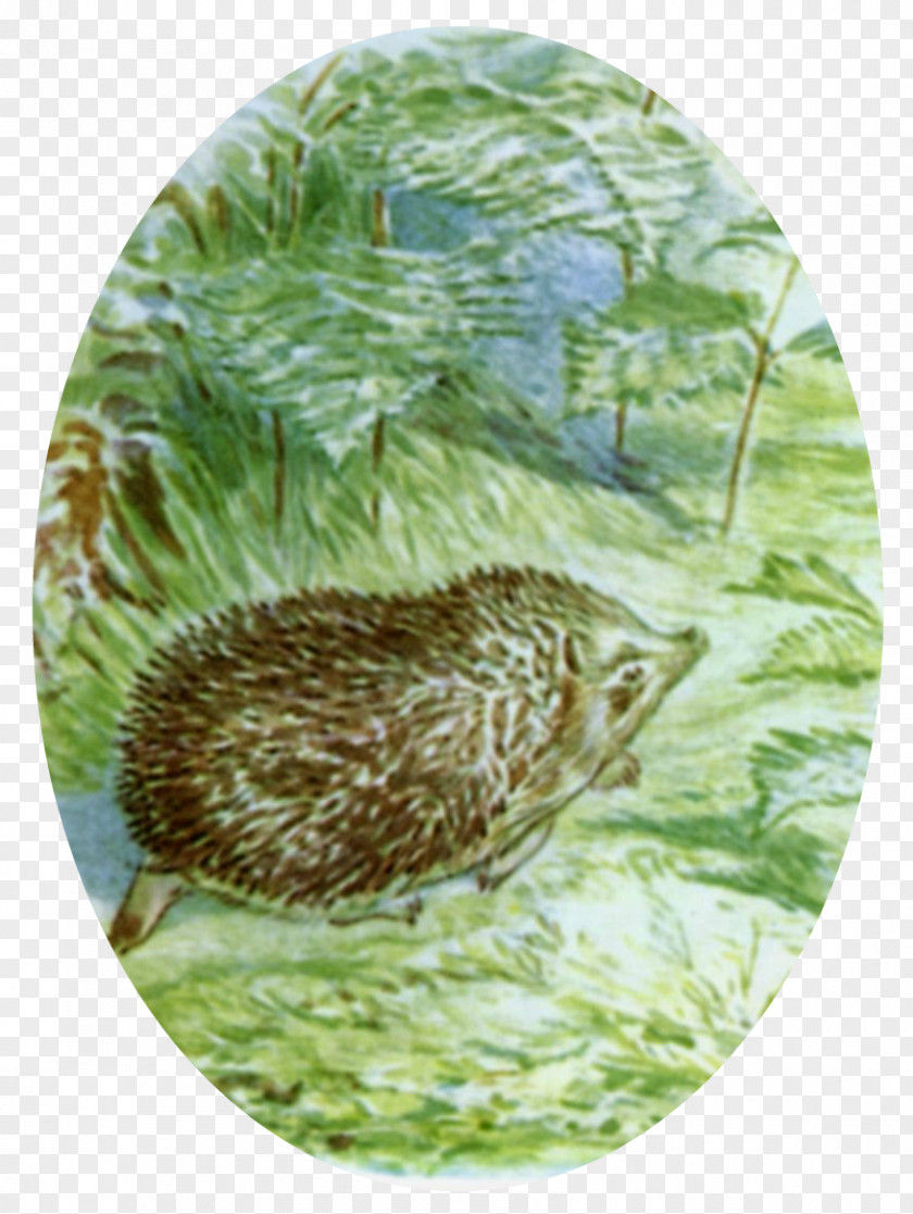 BEATRIX POTTER The Tale Of Mrs. Tiggy-Winkle Peter Rabbit Jemima Puddle-Duck Mr. Jeremy Fisher PNG