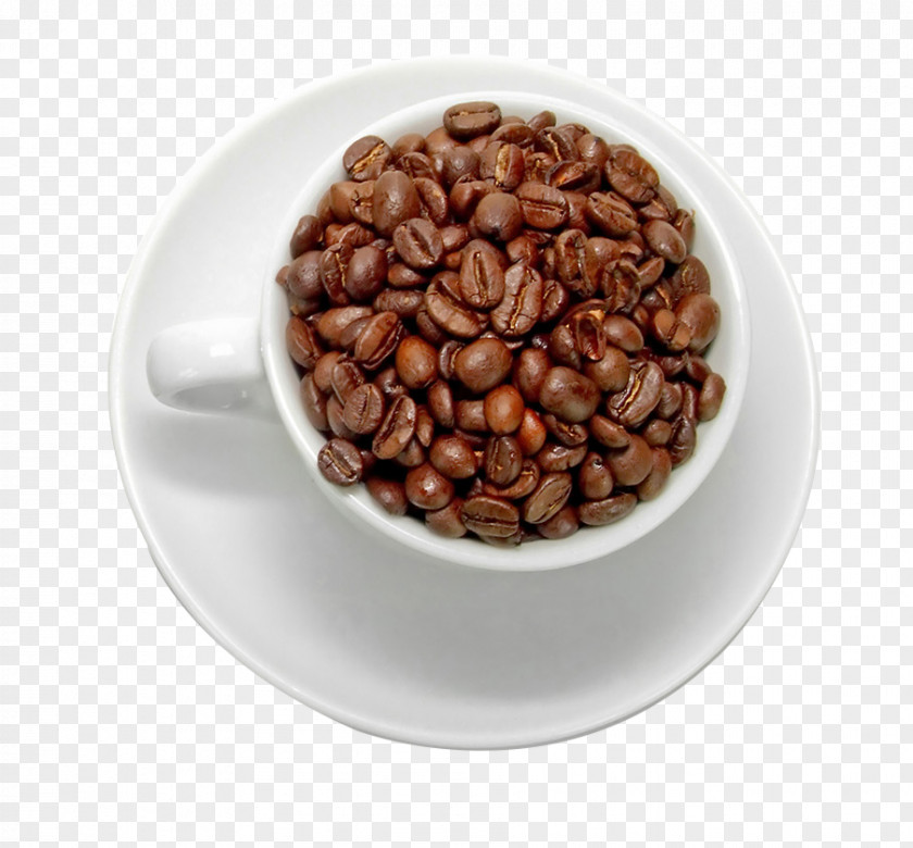 Coffee Beans Instant Tea Cafe Chocolate Milk PNG