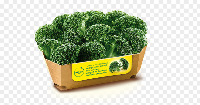 Frozen Non Veg Broccoli Minestrone Affogato Food PNG