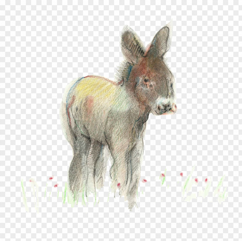 Hand-painted Pattern Donkey Illustrator Illustration PNG
