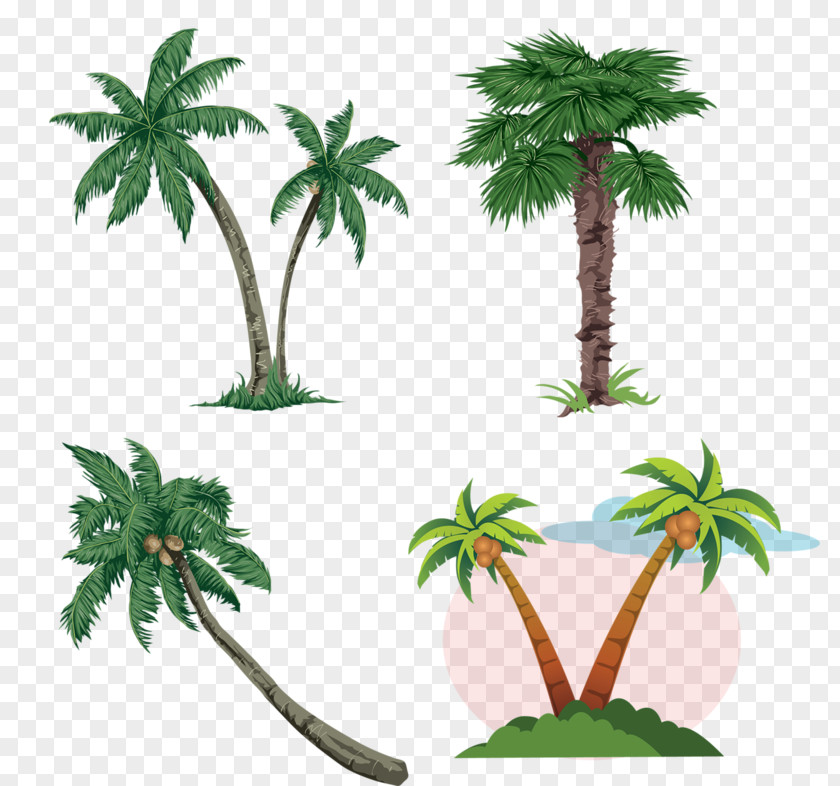 Coconut Tree Arecaceae Free Content Clip Art PNG