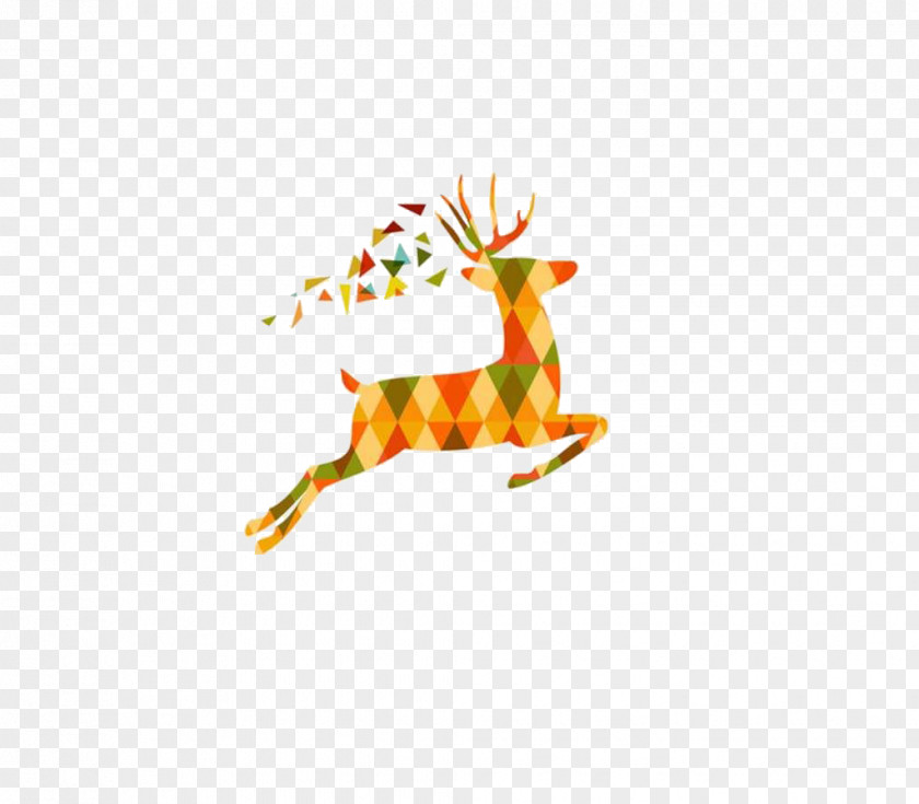 Deer Cartoon Illustration PNG