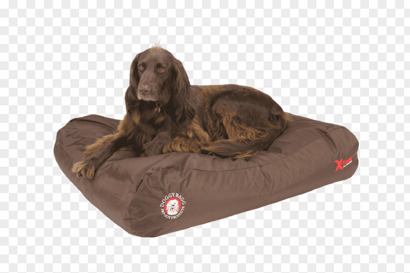 Dog Breed Amazon.com Teflon 48 Bed PNG