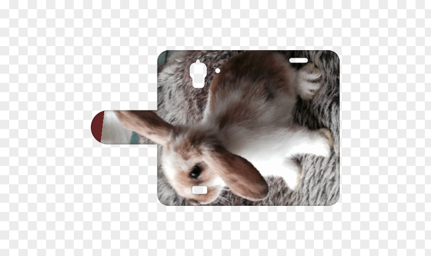 Huawei Y360 Domestic Rabbit Y5 Telefoonhoesje Met Bedrijfslogo & Tekst Ontwerpen Hare Smartphone PNG