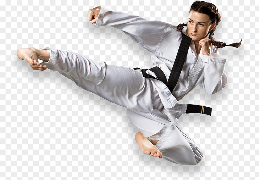 Karate Martial Arts Taekwondo Black Belt Kickboxing PNG