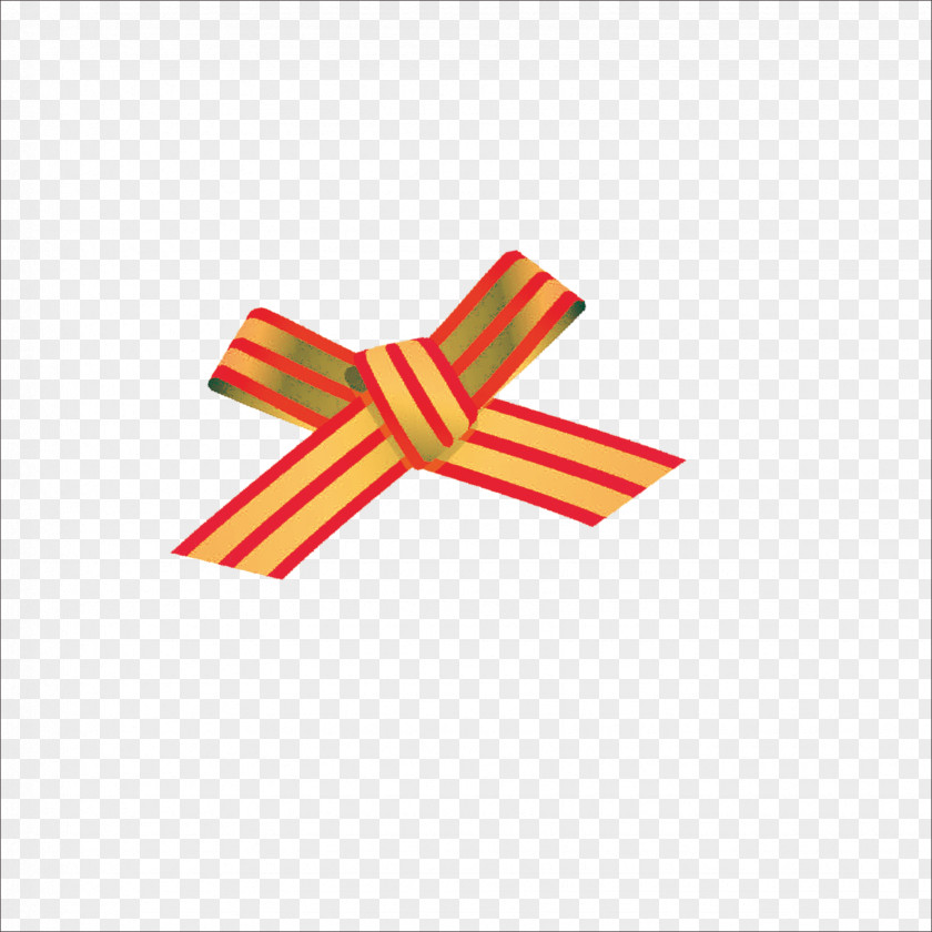 Ribbon Shoelace Knot Gift PNG