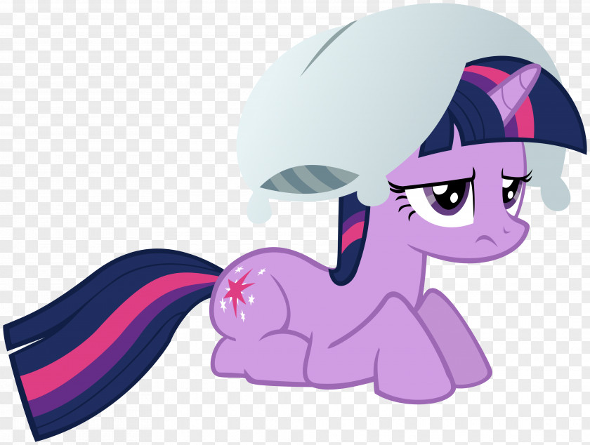 Sparkle Vector Pony Twilight Rainbow Dash Princess Cadance Rarity PNG