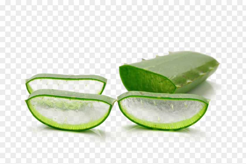 Aloe Vera Ferox Constipation Stock Photography Physical Exercise PNG