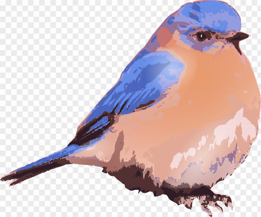 Blue Bird Eastern Bluebird Of Happiness Clip Art PNG