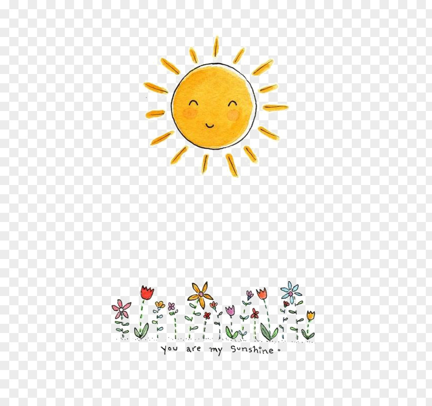 Cartoon Sun Illustration PNG