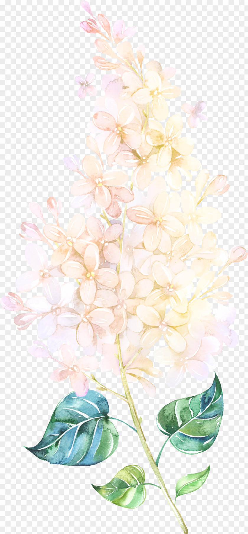 Floating Flower Watercolor Painting Floral Design PNG