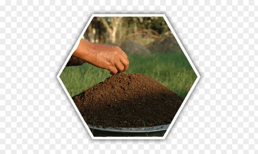 Organic Farm Vermicompost Soil Green Manure Fertilisers PNG