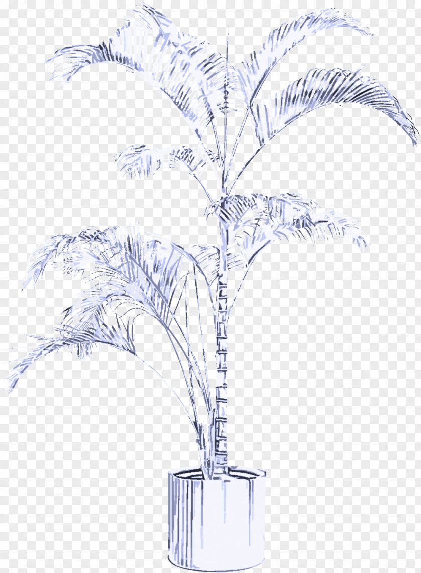 Vase Twig Palm Tree PNG