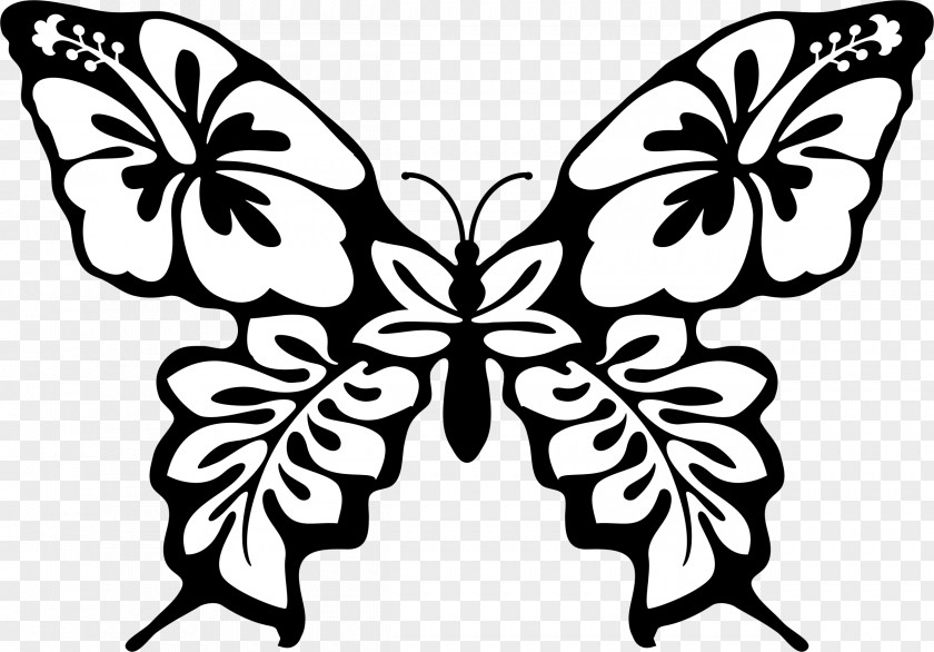 Butterfly Line Art Drawing Clip PNG
