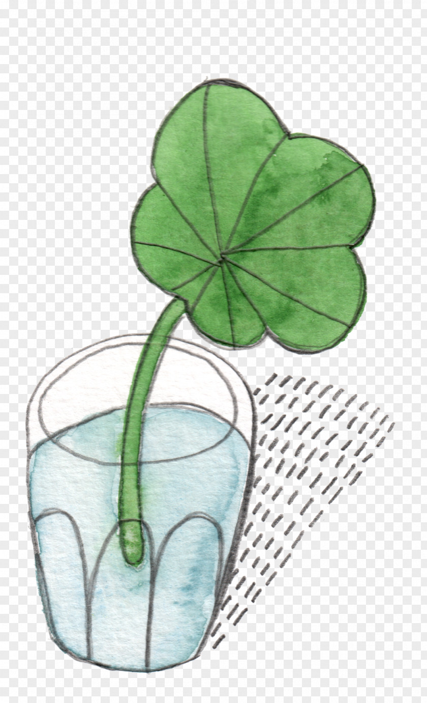 Leaf Flower Plant Stem Product Design Shamrock PNG