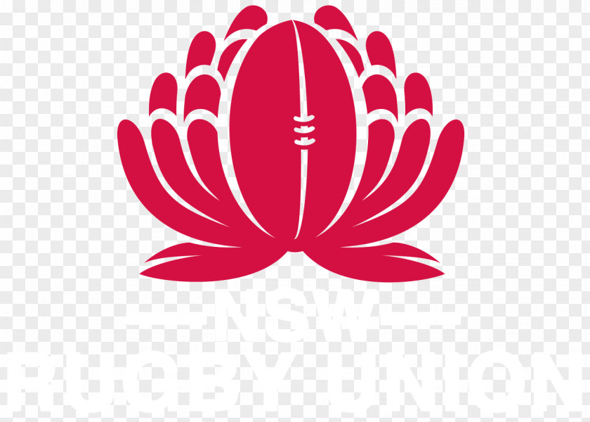New South Wales Waratahs 2018 Super Rugby Season Queensland Reds Blues Australia National Union Team PNG