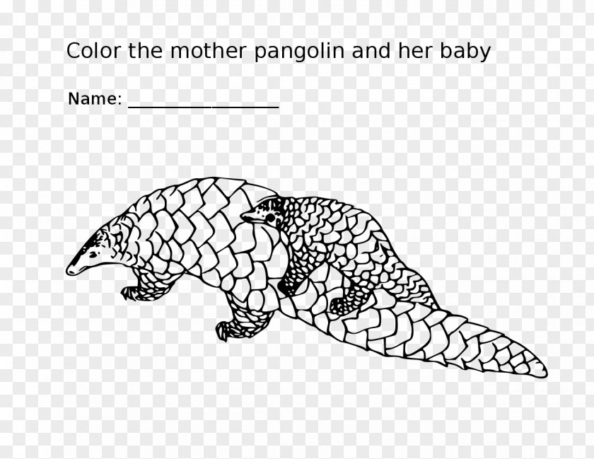 Paperkyte Marine Mammal Coloring Book Pangolin Rescue Adventure Film PNG