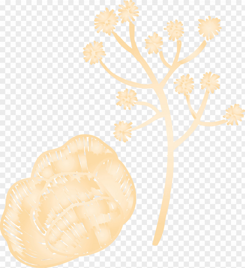 Petal PNG