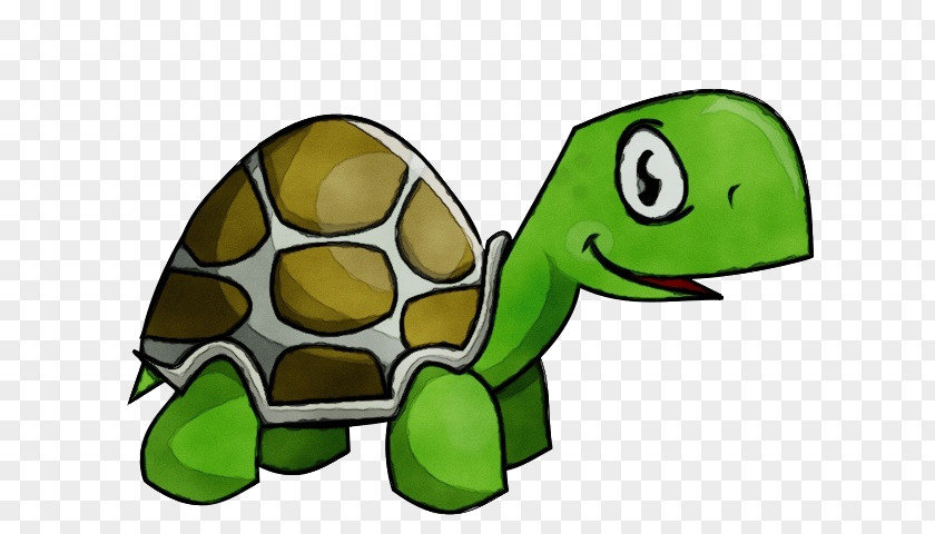 Turtles Cartoon PNG