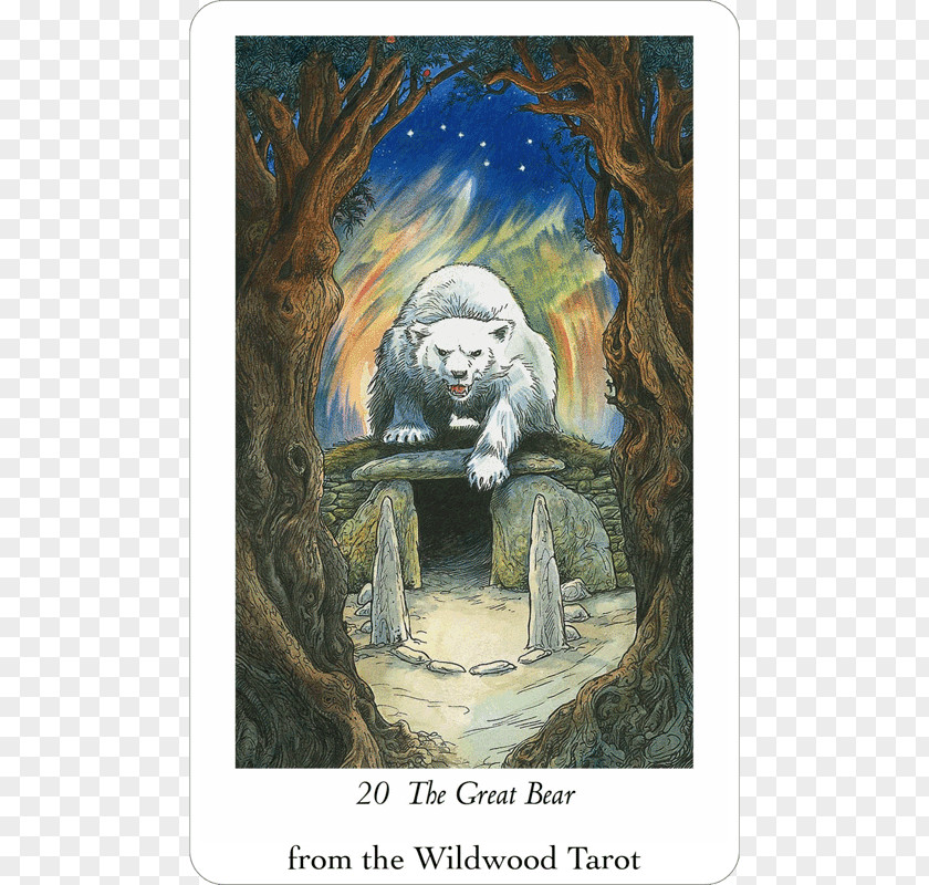 Wild Magic The Wildwood Tarot Workbook Tarot: Wherein Wisdom Resides Fool Shadowscapes King Of Arrows PNG