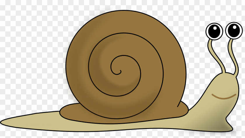 Ag Cliparts Snail Clip Art PNG