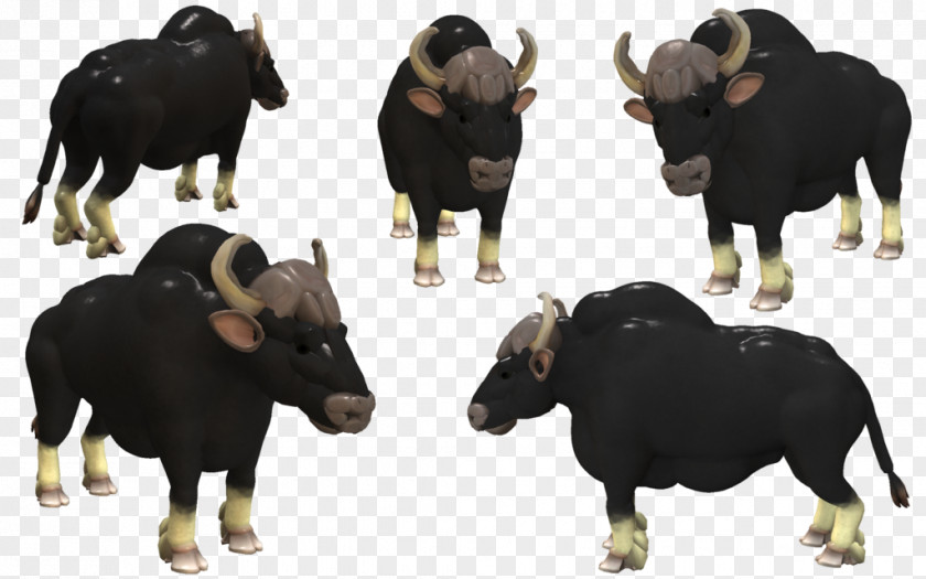 Herd Ox Cow Background PNG