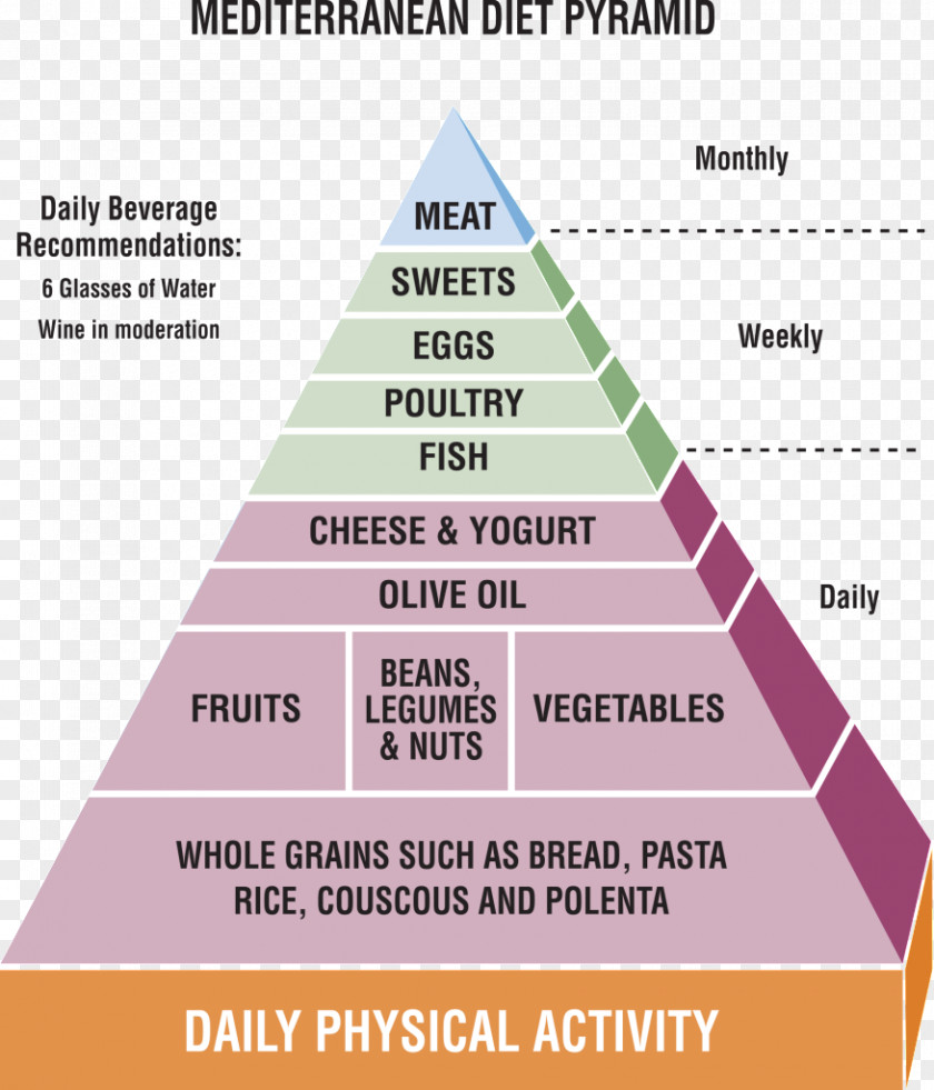 Nutritional Food Pyramid Line Angle Document Brand PNG