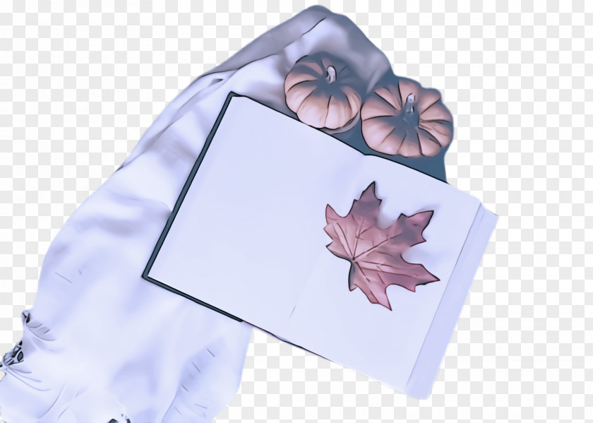 Petal Morning Glory Maple Leaf PNG