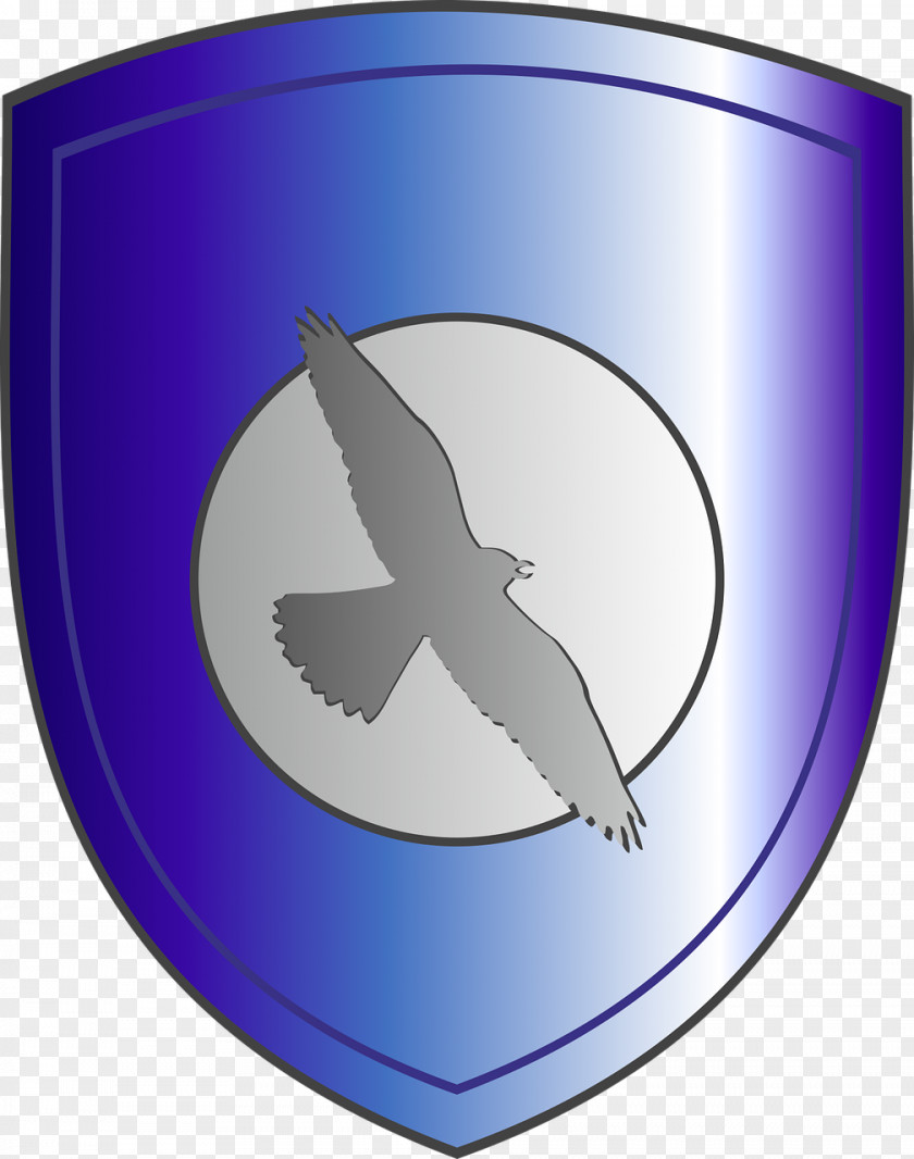 Shield Coat Of Arms House Arryn Escutcheon PNG