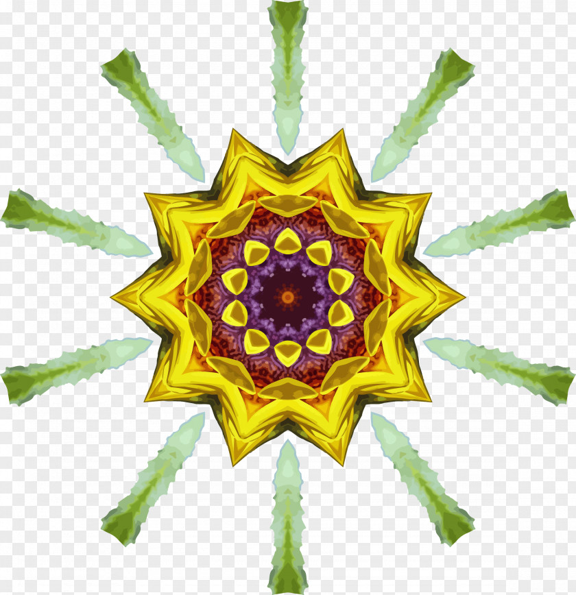 Sunflower Blood Lancet The Medicine Umbilical Cord PNG